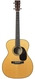 Martin 000 EC 30th Anniversary 2978266