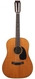 Martin -  D12-20 Mahogany Spruce 12 String 1967