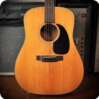 Martin D 18 1975 Natural