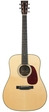 Collings D2HA Adirondack 2025