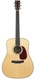 Collings D2HA Adirondack 2025