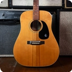 Epiphone-FT140 Acoustic Ex Tim Bricheneo THE SISTERS OF MERCY-1981-Natural