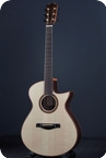 Turnstone Guitar Company TM Cutaway 2025