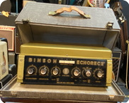 Binson Echorec T7E 1960 Green Gold Box