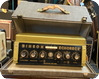 Binson Echorec T7E 1960 Green Gold Box