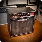 Ashdown 550 Touring 2x10 Bass Combo 2010