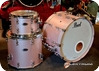 Pearl Drums Referance Pure 2024 Dusty Rose