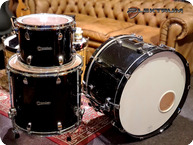 Premier-Elite Maple-2010-Green Sparkle