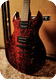 Washburn Ex Anthrax