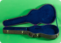 Epiphone Casino Riviera Sheraton 1965 Grey