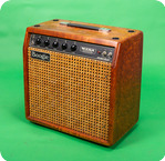 Mesa Subway Blues Amplifier 1998 Natural Finish