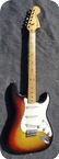 Fender Stratocaster 1976 Sunburst