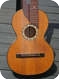  NO NAME  German Style Harp Guitar  1920-Spruce Top 
