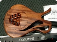 PARADIS Paradis Nylon Strings With POLYSUBBASS 1993 Natural