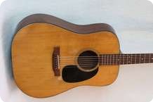 Martin D 18 1980