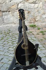 Gibson H 1 Mandola 1924