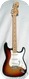 Fender Stratocaster 1974 Sunburst