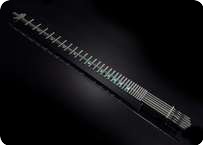Gittler Guitar Classic Model
