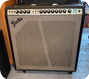 Fender-Super Reverb-1979-Silver Face