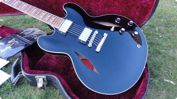 Gibson Dg 335 Dave Grohl