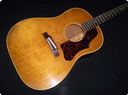 Gibson J50 1964 Natural