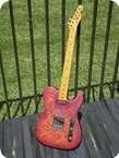 Fender Telecaster Paisley 1969