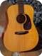 Martin D 18 Tortoisebound 1966