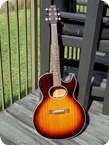 Washburn Woodstock Custom Shop Acoustic Electric 1990