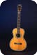 Washburn New Model Style 308 1889