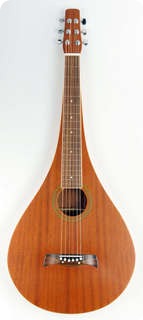 Weissenborn Copy Teardrop 2013