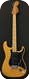 Fender Stratocaster  1978