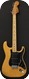 Fender Stratocaster 1978