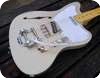 Danny Hines Custom Guitars F Hole Telemaster