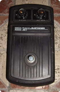 Roland As 1 Sustainer 1970