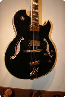 Pat Metheny Pm120 Black