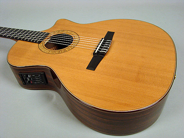 Taylor ns74ce store