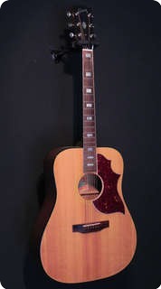 Gibson Sj Deluxe 1973 Natural