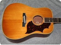 Gibson Country Western GIA0498 1963 Natural