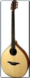 Stevens Custom Guitars Ib Standard