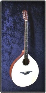Stevens Custom Guitars Irish Bouzouki Basic 2019 Satin