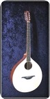 Stevens Custom Guitars Irish Bouzouki Basic 2019 Satin