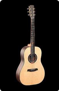 Stevens Custom Guitars Soulwood S