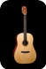 Stevens Custom Guitars D QM 12fret