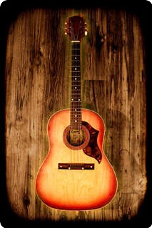 egmond guitar value egmond guitar value