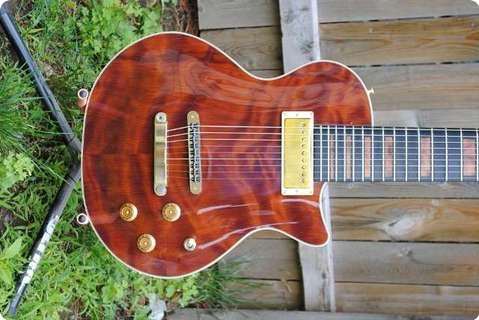 Dgn Custom Guitars Paragon Red 9 String Nr 027