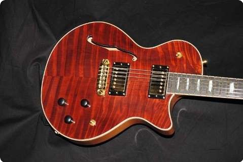 Dgn Custom Guitars Paragon Red Full Hollow Nr 026