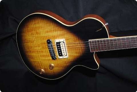 Dgn Custom Guitars Paragon Standard Sp Nr 020