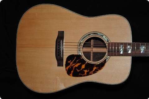 Dgn Custom Guitars Model 28 Acoustic Nr 009