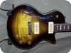 DGN Custom Guitars Paragon Standard Nr 003