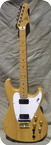 Roland Synt GR 202 GR 300 1980 Natural